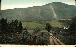 Scenic View of Greylock Mountain Postcard