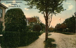 Yarmouth's Beautiful Hedges Postcard