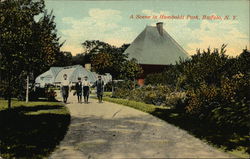 A Scene in Humboldt Park Buffalo, NY Postcard Postcard Postcard