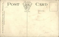 back