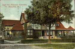 Tiger Inn, Princeton University Postcard