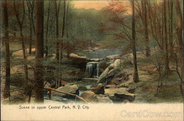 Upper Central Park New York