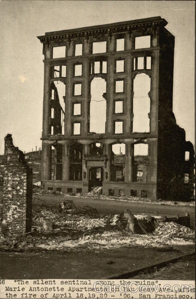 The Silent Sentinal Among the Ruins San Francisco California