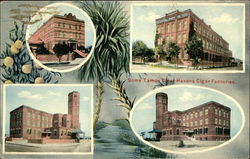 Some Tamos Clear Havana Cigar Factories Postcard