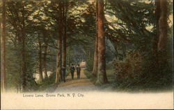 Lovers' Lane in Bronx Park Postcard