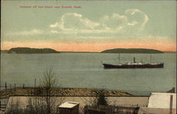 Steaner off Hat Island Postcard