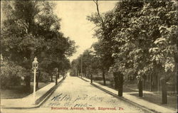 Swissvale Avenue, West Postcard