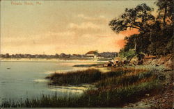 Scenic Shore and Water View Postcard