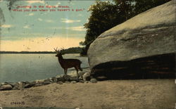 Hunting in the Maine Woods Postcard Postcard Postcard