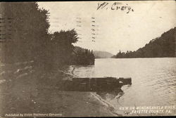 View on Monongahela River in Fayette County Postcard