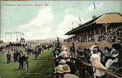 Scene at Fair Grounds Bangor, ME Postcard Postcard Postcard