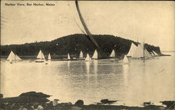 Harbor View of Sail Boats Bar Harbor, ME Postcard Postcard Postcard