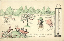 What Some People Think of Vermont Postcard Postcard Postcard