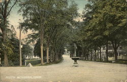 Residential Street View Postcard