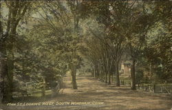 Main Street, looking WEst Postcard