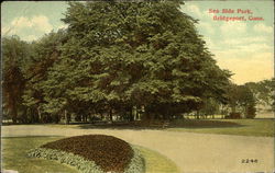 Sea Side Park Postcard