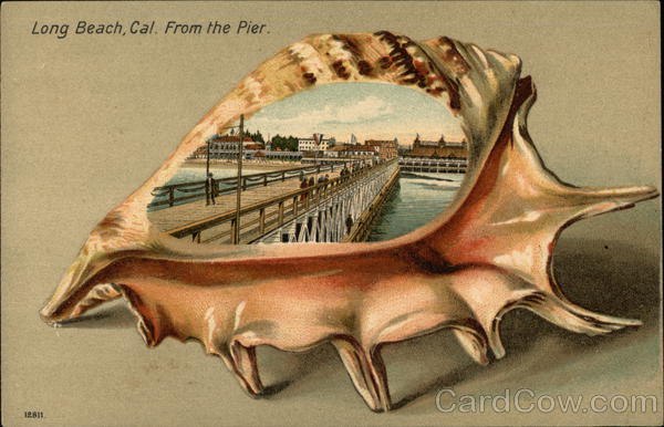 Long Beach, Cal. From the Pier California