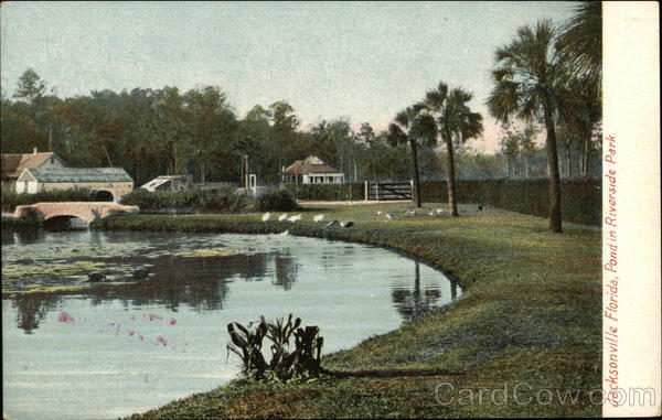 Pond in Riverside Park Jacksonville Florida