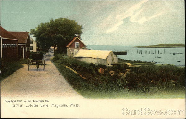 Lobster Lane Magnolia Massachusetts