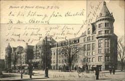 Museum of Natural History Postcard