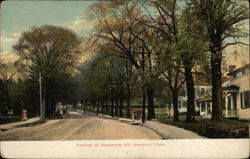 Looking Up Strawberry Hill Postcard