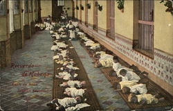 Recuerdo de Habana Postcard