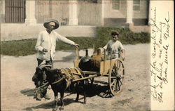 The Voltana - A comfortable native vehicle Postcard