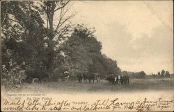An Ohio Farm Postcard