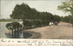 Lake Calhoun Boulevard Minneapolis, MN Postcard Postcard Postcard