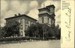 Cathedral of the Immaculate Conception Postcard