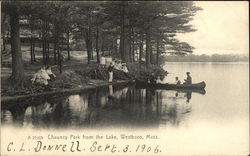 Chauncy Park from the Lake Postcard