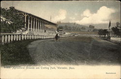 Agicultural Grounds and Trotting Park Postcard