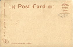 back