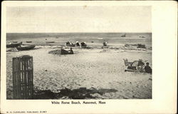 White Horse Beach Postcard