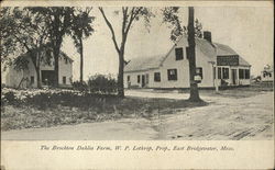 The Brockton Dahlia Farm East Bridgewater, MA Postcard Postcard Postcard