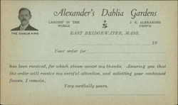 Alexander's Dahlia Gardens East Bridgewater, MA Postcard Postcard Postcard