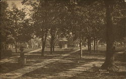 Salem Common Postcard