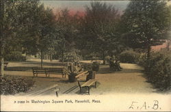 In Washington Square Park Postcard