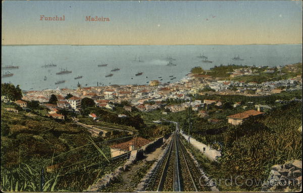 Aerial View of Funchal, Madeira Portugal