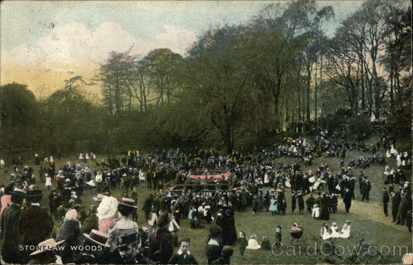 Stonelaw Woods Rutherglen Scotland