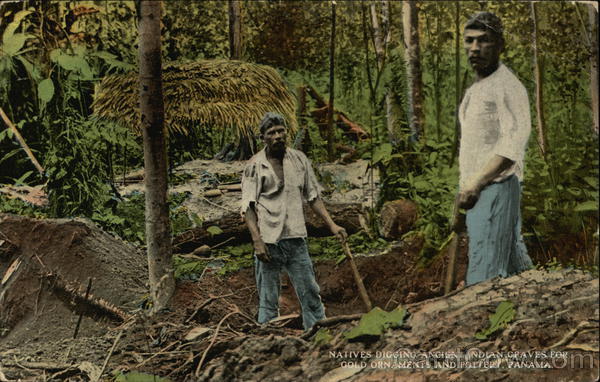 Natives Digging Ancient Indian Graves For Gold Ornaments And Pottery Panama