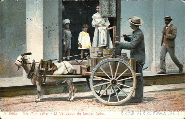 The Milk Seller, With Goat Cart Cuba