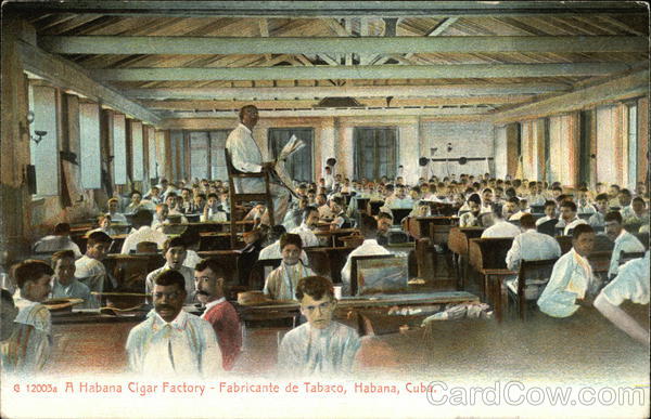 Workers at a Habana Cigar Factory Havana Cuba