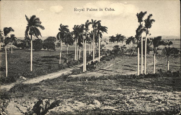 View of Royal Palms Cuba