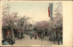 Cherry Blossoms at Mukojima Postcard