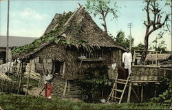 Nipa Hut Philippines Southeast Asia Postcard Postcard