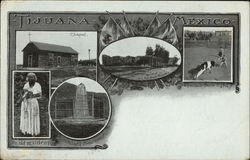 Greetings from Tijuana Postcard