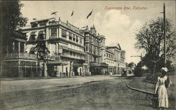 Esplanade Row Postcard