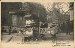 The Walk of Birds Postcard