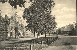 Stock #468749 Thumbnail